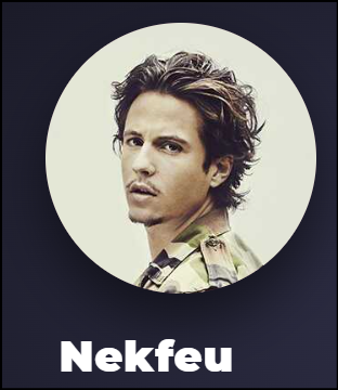 L’artiste Nekfeu